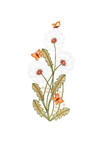 W. Reuter & Sohn - Plauener Spitze, Fensterbild &raquo;Fensterbild "Pusteblumen" farbig&laquo;, bunt, Polyester