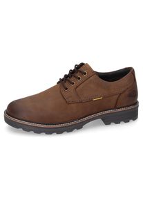 Camel Active, Unisex, Camel Active Schn&uuml;rschuh Trachtenschuh, Freizeitschuh mit gepolsterter Innensohle, dunkelbraun, 47, Oxford Schn&uuml;rer von CAMEL 