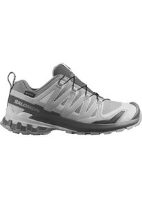 Salomon Damen Xa Pro 3D V9 GTX grau 41.3